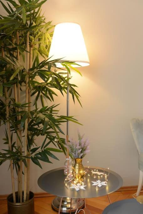 No.8: Lovely & Cosy 3-Room Heart Of The City ทิมิชัวรา ภายนอก รูปภาพ